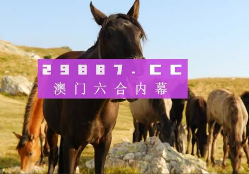 澳门和香港管家婆一肖一码一中一|词语释义解释落实