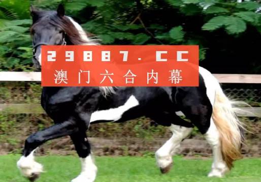 澳门和香港一肖一码一一子中特|词语释义解释落实