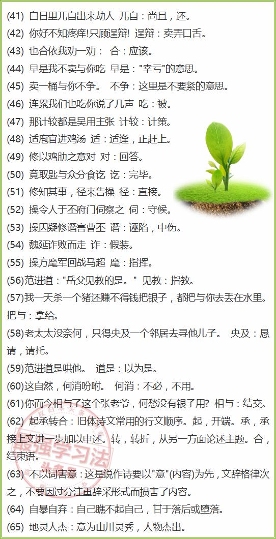 新澳门一肖中100%期期准——词语释义与解释落实的探讨