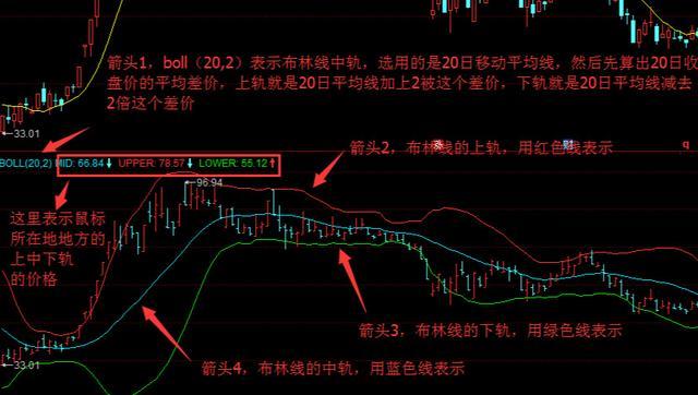 澳门今晚必开一肖一特，深度解析与精准预测