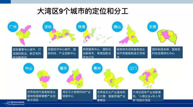 迈向未来，解析新澳免费资科五不中料与精选策略落实之路