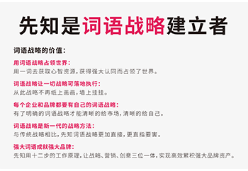 澳门特马今晚开奖与十二生肖词语作答解释落实展望