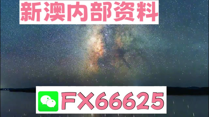 新澳天天彩免费资料2024-2025老，全面释义解释与落实