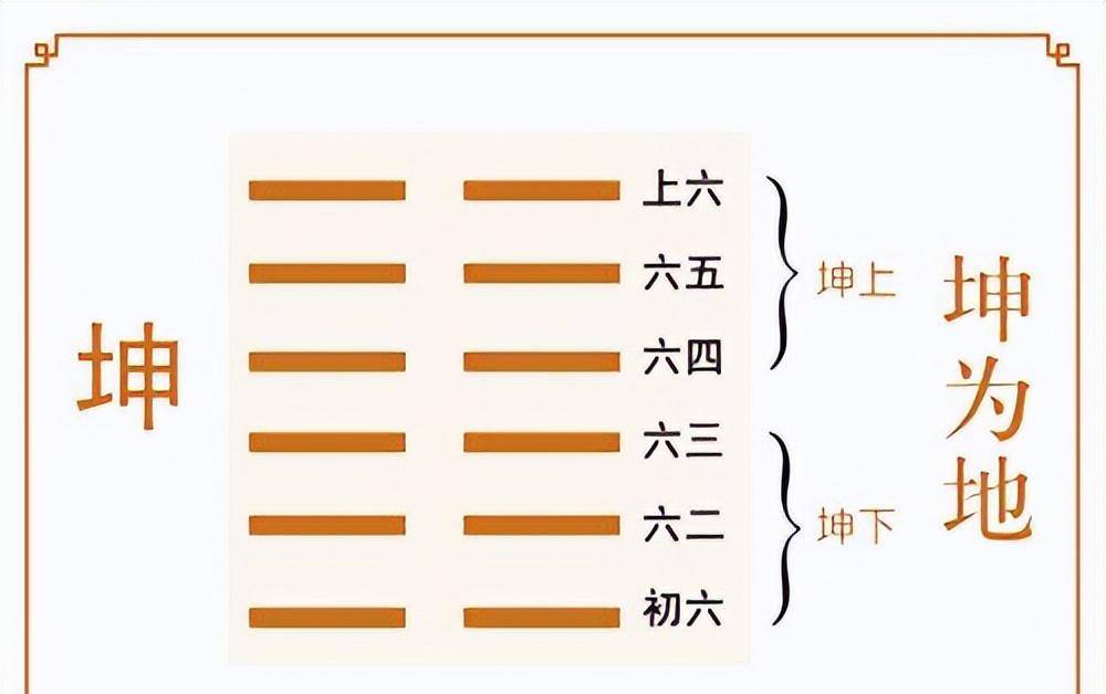 二四六香港资料期期准，词语释义解释落实的重要性与价值