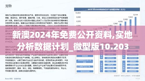 新澳2024-2025年精准正版资料全面释义解释落实