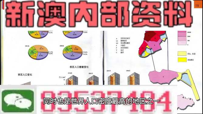 新澳门正版免费精准资料与词语释义解释落实，探索与理解