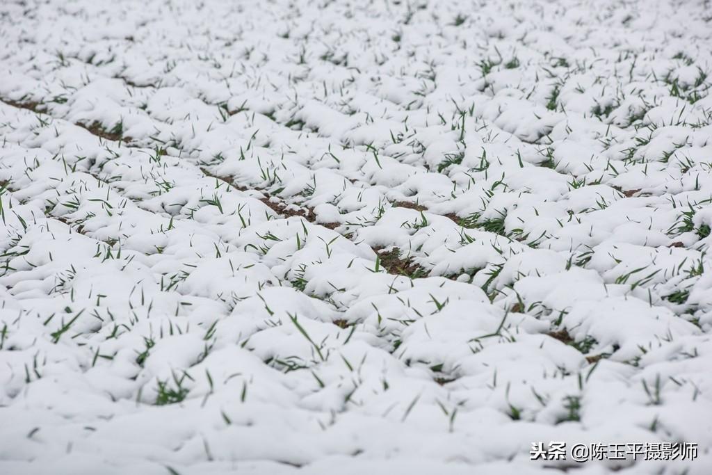 下雪村旧改最新消息，重塑乡村风貌，焕发新生机