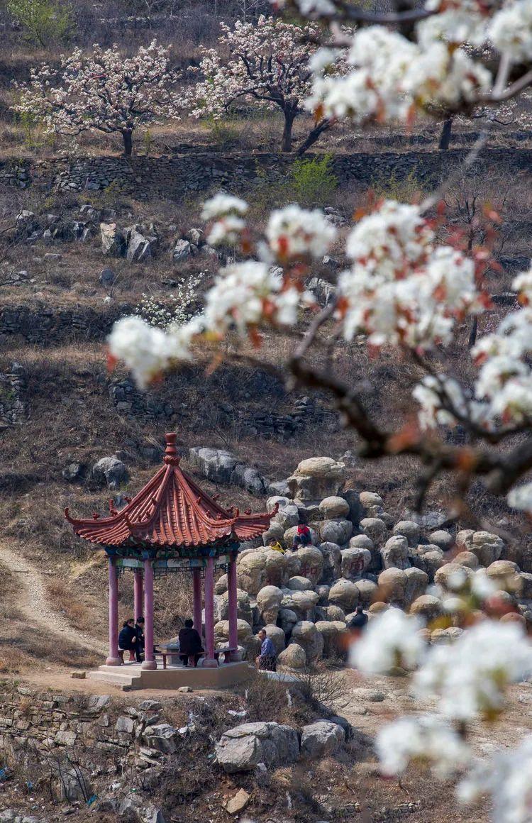 莱芜市高庄最新规划图，塑造未来城市的蓝图